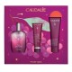 Caudalie Xmas Pro The des Vignes Fresh Fragrance 50ml, Hand & Nail Repairing Cream 30ml & Shower Gel 50ml, 1τεμ