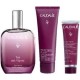 Caudalie Xmas Pro The des Vignes Fresh Fragrance 50ml, Hand & Nail Repairing Cream 30ml & Shower Gel 50ml, 1τεμ
