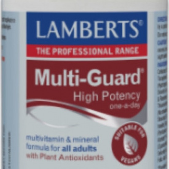 Lamberts Multi Guard One Daily η πιο Ολοκληρωμένη Φόρμουλα Βιταμινών, 30tabs